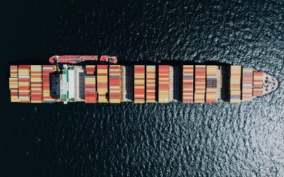 Daten per XML-Import aufnehmen