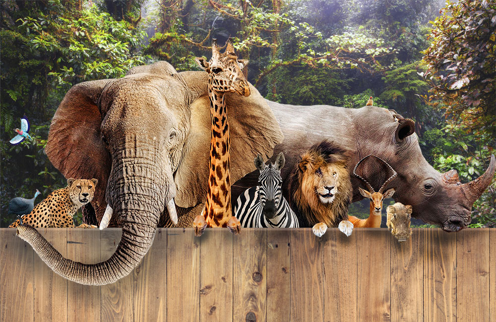 toolzoo Agiles Projektmanagement - Toolzoo