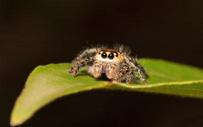 Die Stakeholder spinnen doch