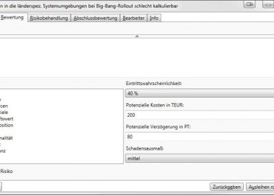Risikobewertung in in-STEP BLUE