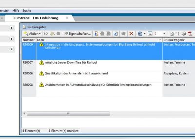 Risikomanagement in in-STEP BLUE