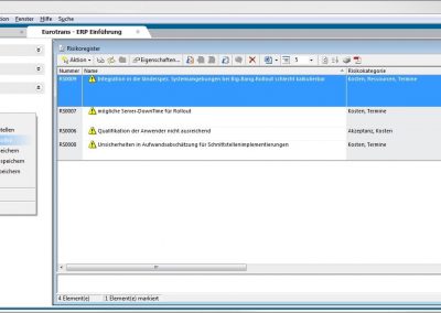 Risiko-Export in in-STEP BLUE