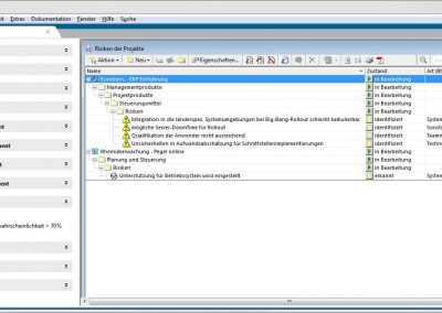 Risikomanagement in in-STEP BLUE