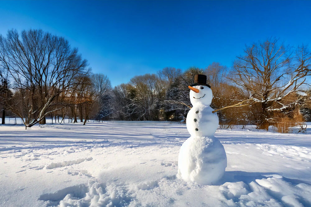 Ein Schneemann mit drei Kugeln, Karottennase und Hut steht vor einer Winterlandschaft mit Bäumen.